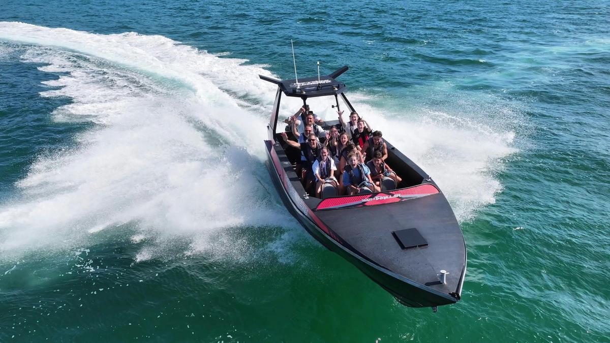 Noosa Ocean Adventures - Whales