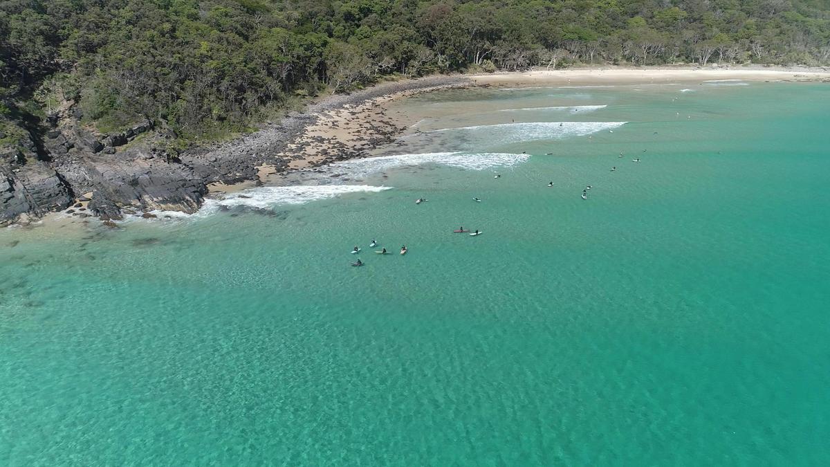 Noosa Ocean Adventures - Dolphins