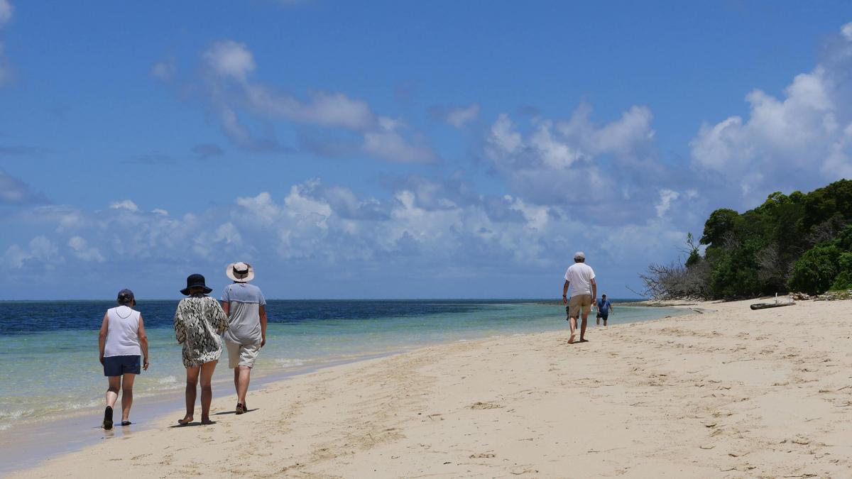 Ocean Free Sail to the Great Barrier & Green Island