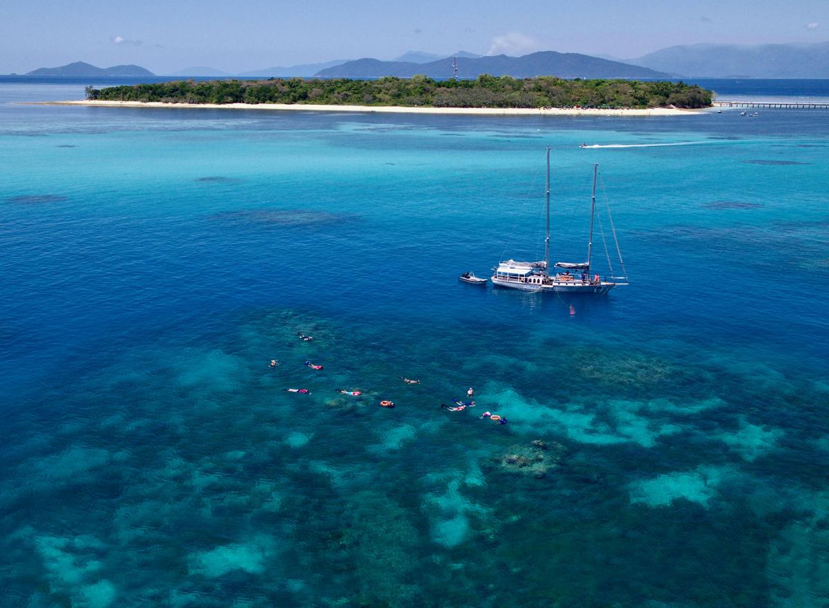 Exclusive "Pinnacle Reef" - Ocean Free