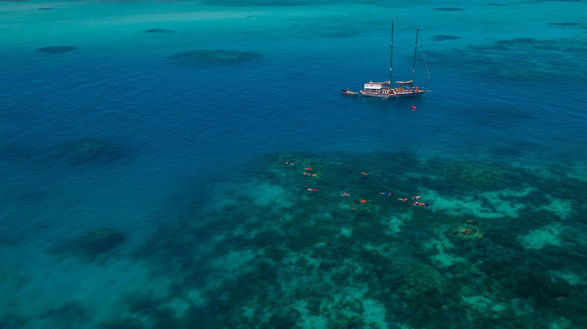 Snorkelling on "Pinnacle Reef" - off Ocean Free