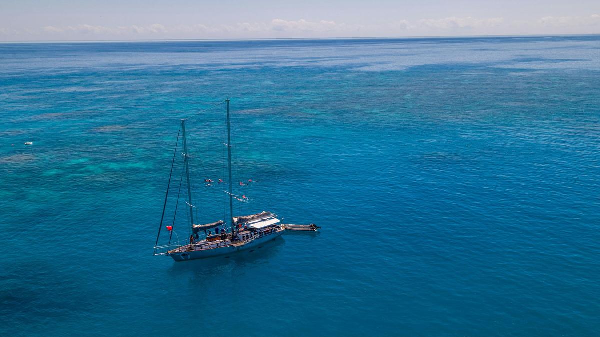 Ocean Free Sail to the Great Barrier & Green Island