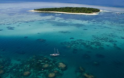 Ocean Free Sail to the Great Barrier & Green Island