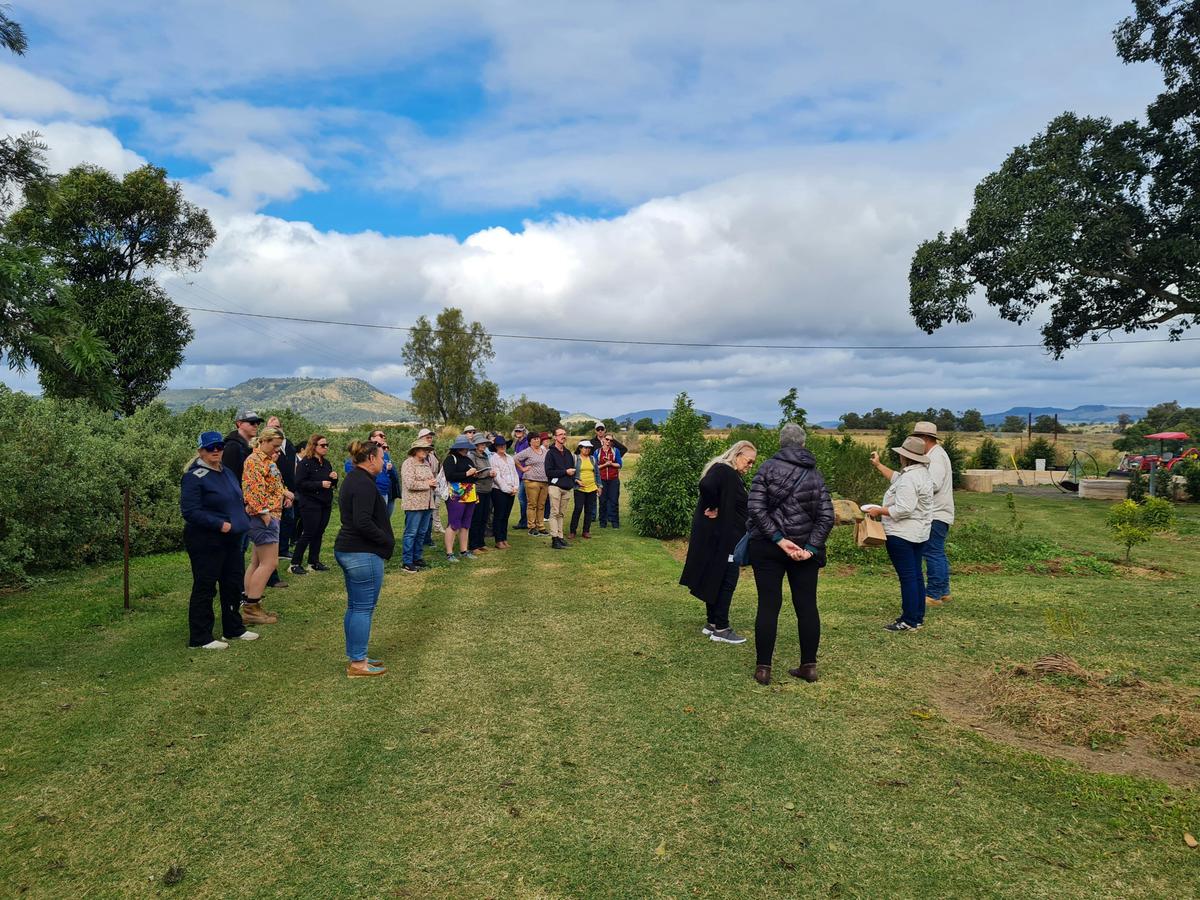 Bushfood and Cultural Eco Tour