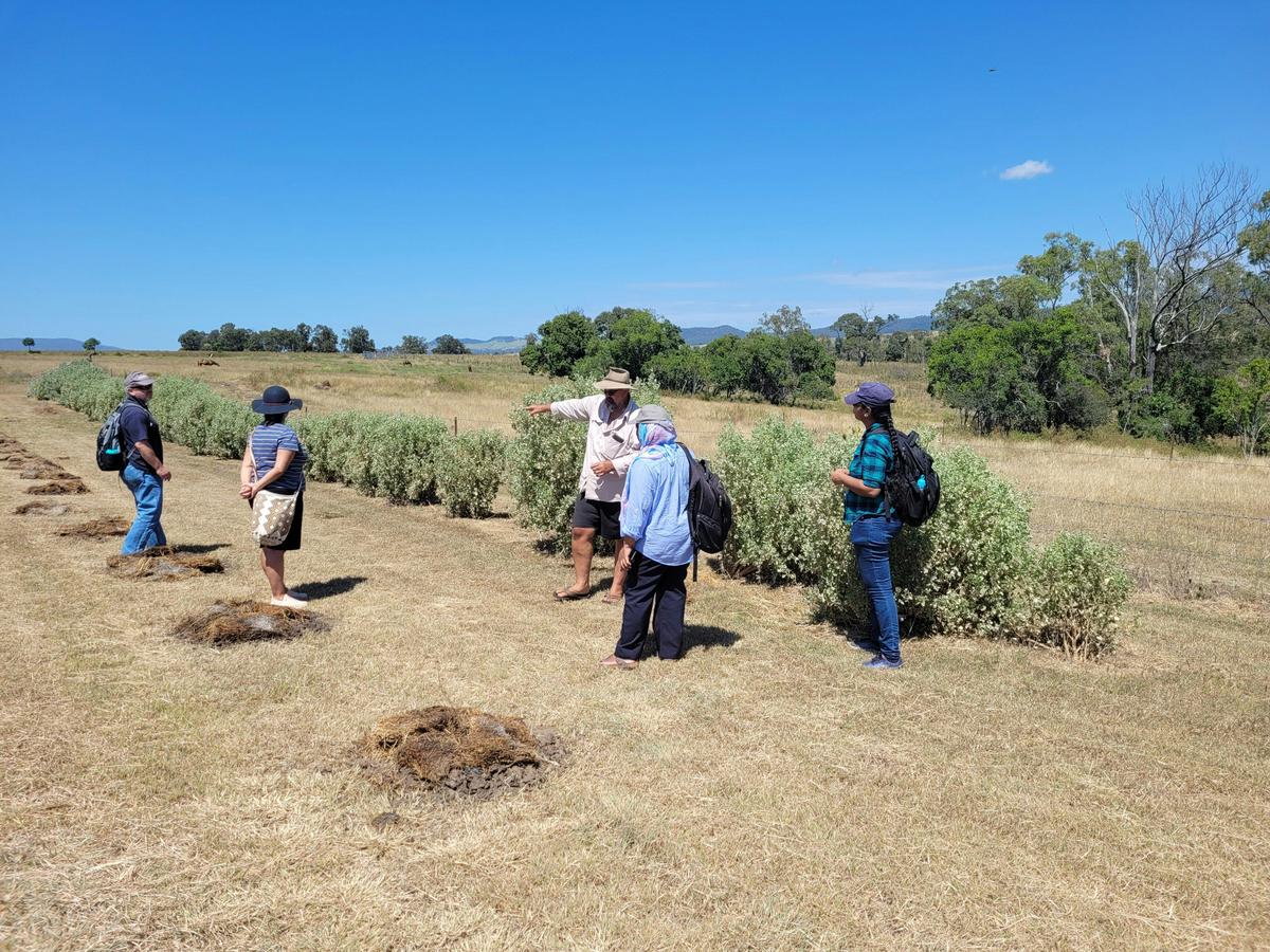 Bushfood and Cultural Eco Tour