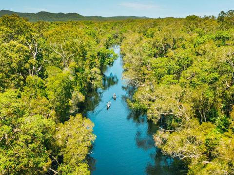 Noosa Everglades