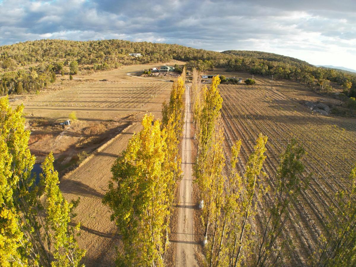 Set high above the vineyard, this private country estate offers a rare sense of space and peace.