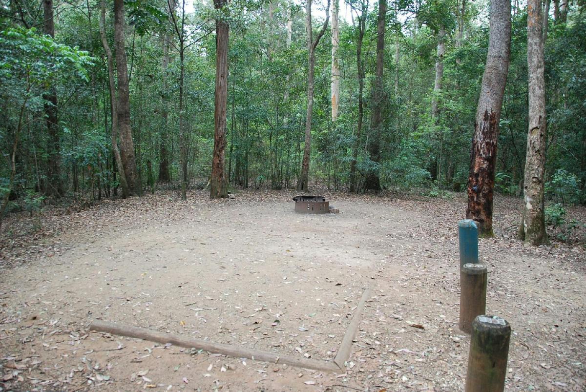 Beautiful bush surrounds campsites at Neurum Creek Campgrounds