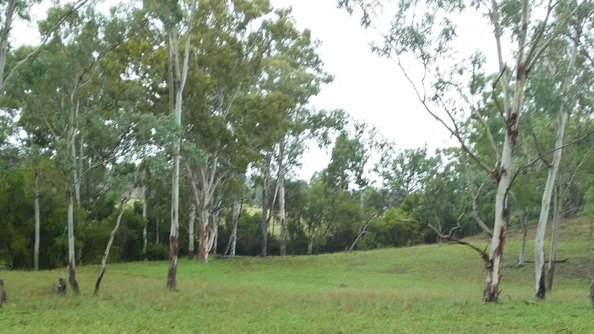 Montaban Farm Camping