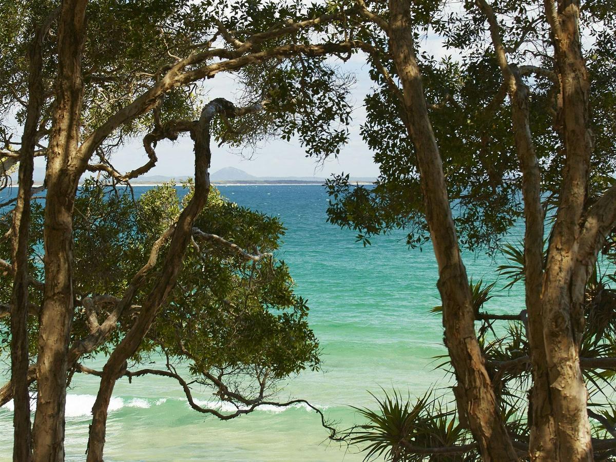 The stunning blue and green water off the coast of Noosa National Park must be seen to be believed!