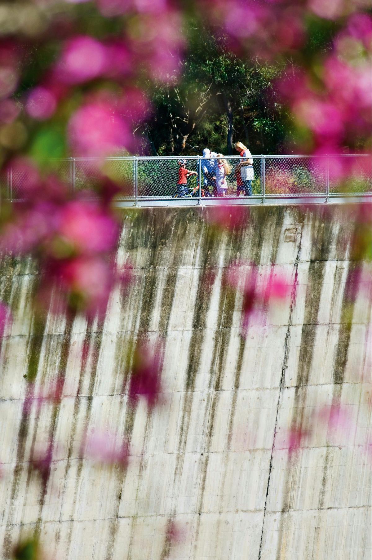 Moogerah Dam Wall