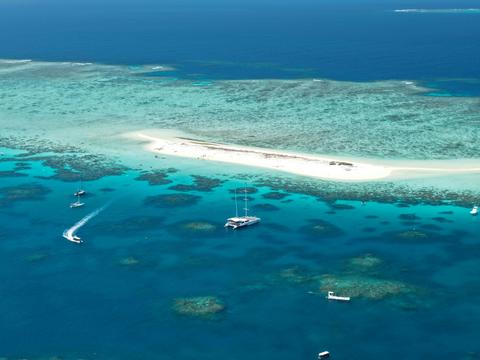 Ocean Spirit Michaelmas Cay Cruises