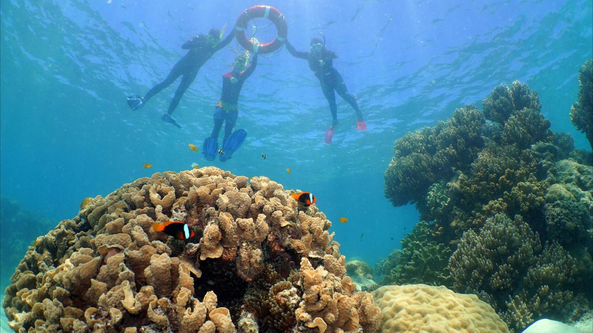 Ocean Spirit Michaelmas Cay Cruises