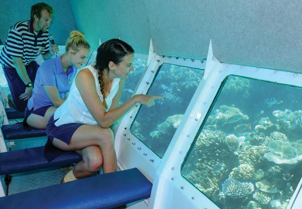 Ocean Spirit Michaelmas Cay Cruises