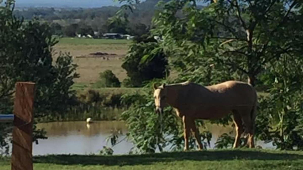 Mirrabooka Farm Views