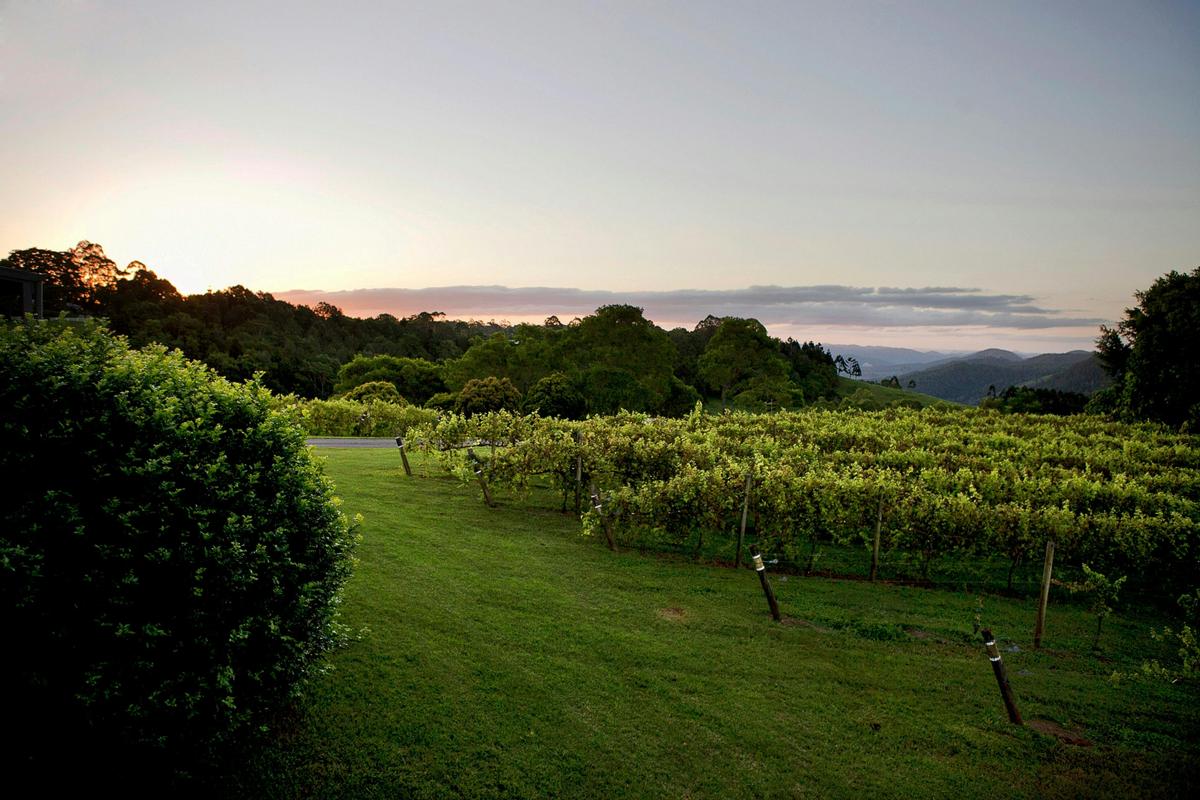 Flame Hill Vineyard and Restaurant Montville