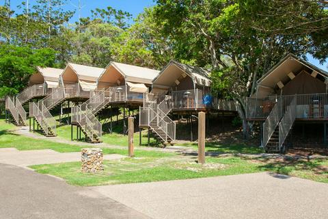 Tree Tops Safari Tent