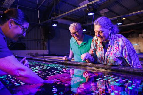 Monsoon Aquatics Coral Farm Tours