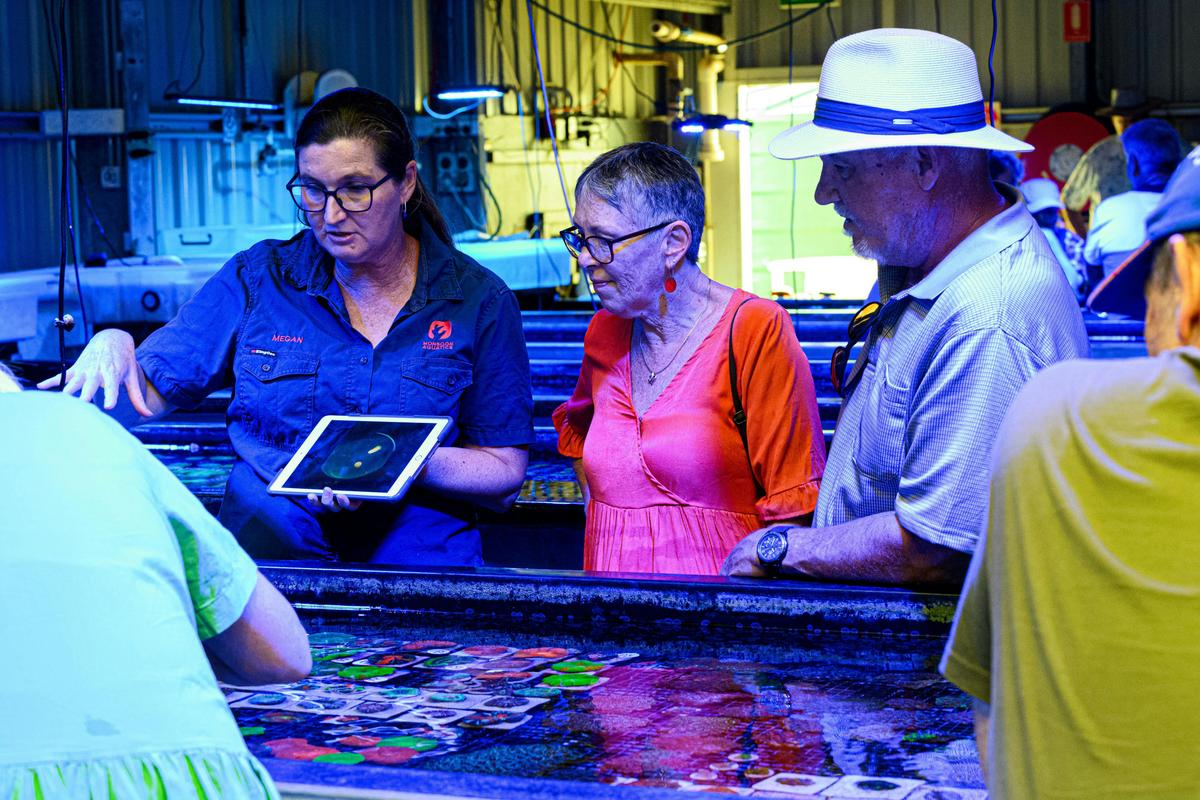 Monsoon Aquatics Coral Farm Tours
