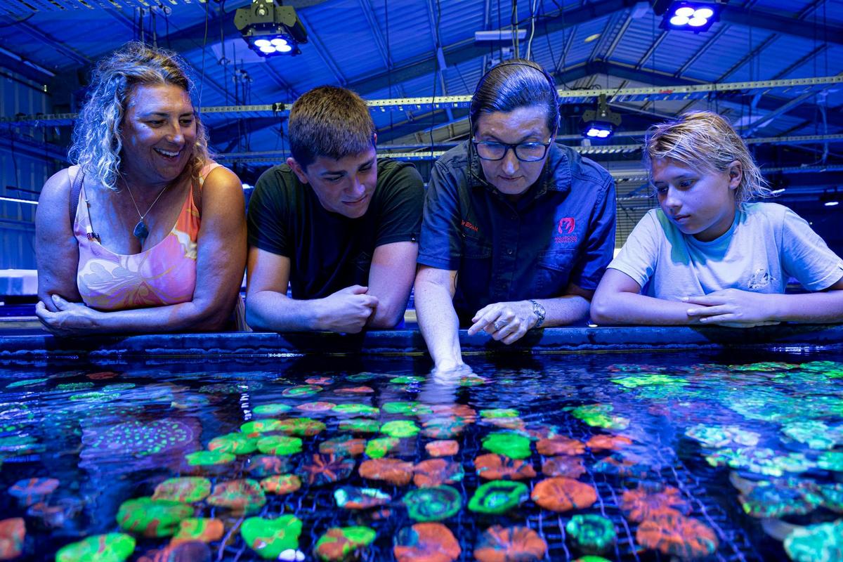 Tour Guide Megan showing guests coral on a tour of Monsoon Aquatics Coral Farm