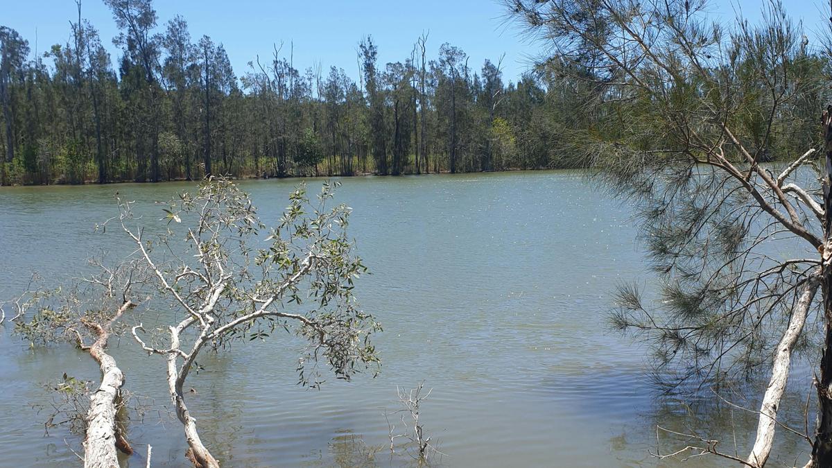 Noosa River Camping at Cooroibah