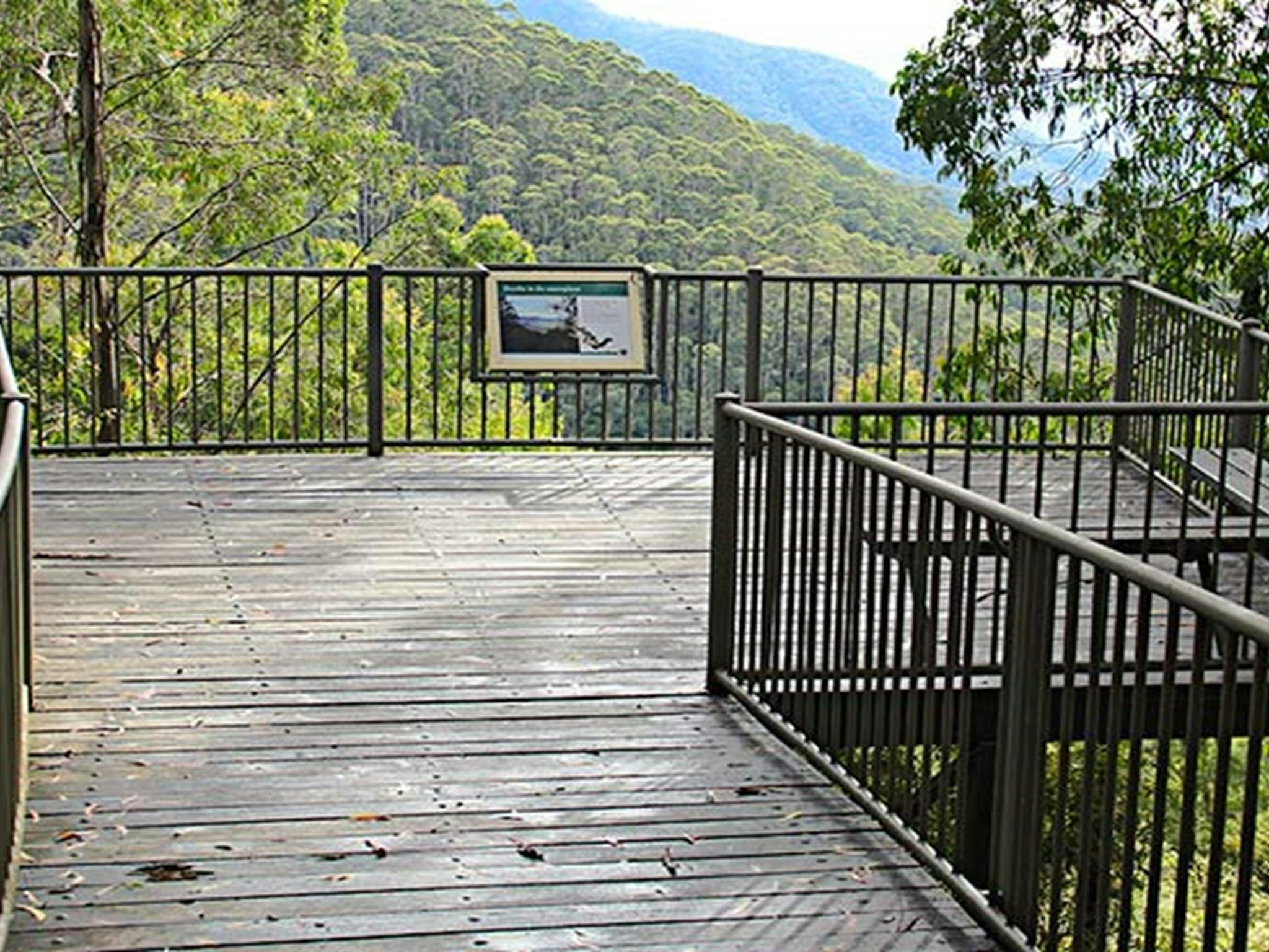 Pipers Lookout, South East Forest National Park. Photo credit: John Yurasek &copy; DPIE