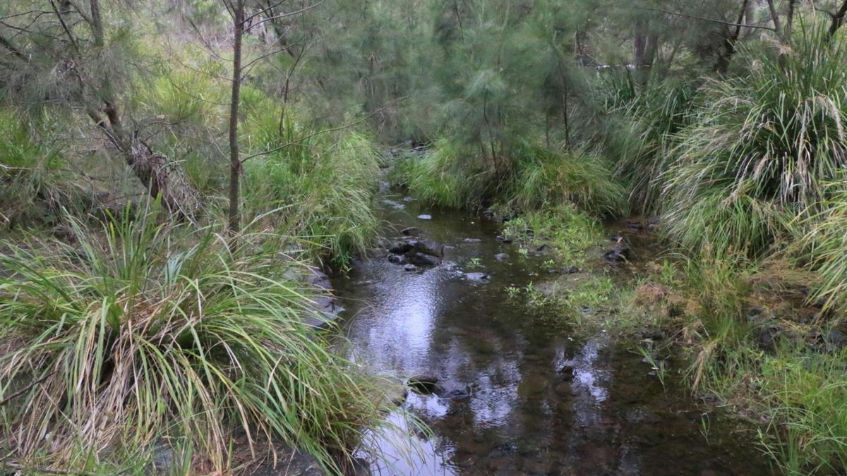 Nyalar Mirunganah Nature Refuge