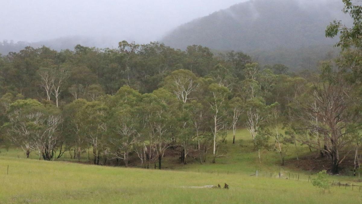 Nyalar Mirunganah Nature Refuge