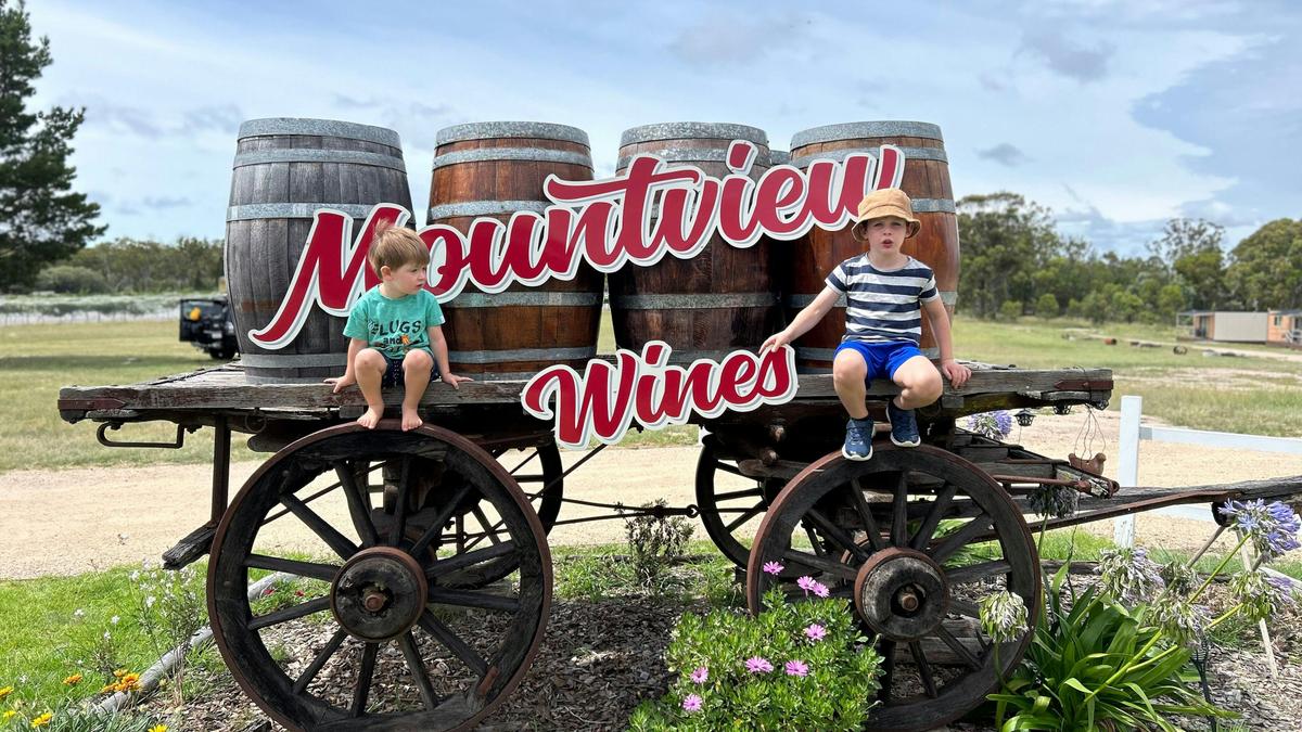Mountview Wines Camping and Cabins