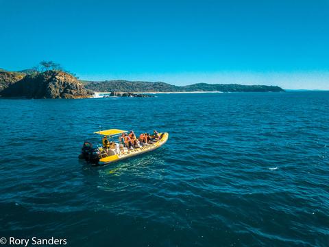 Dolphin Safari