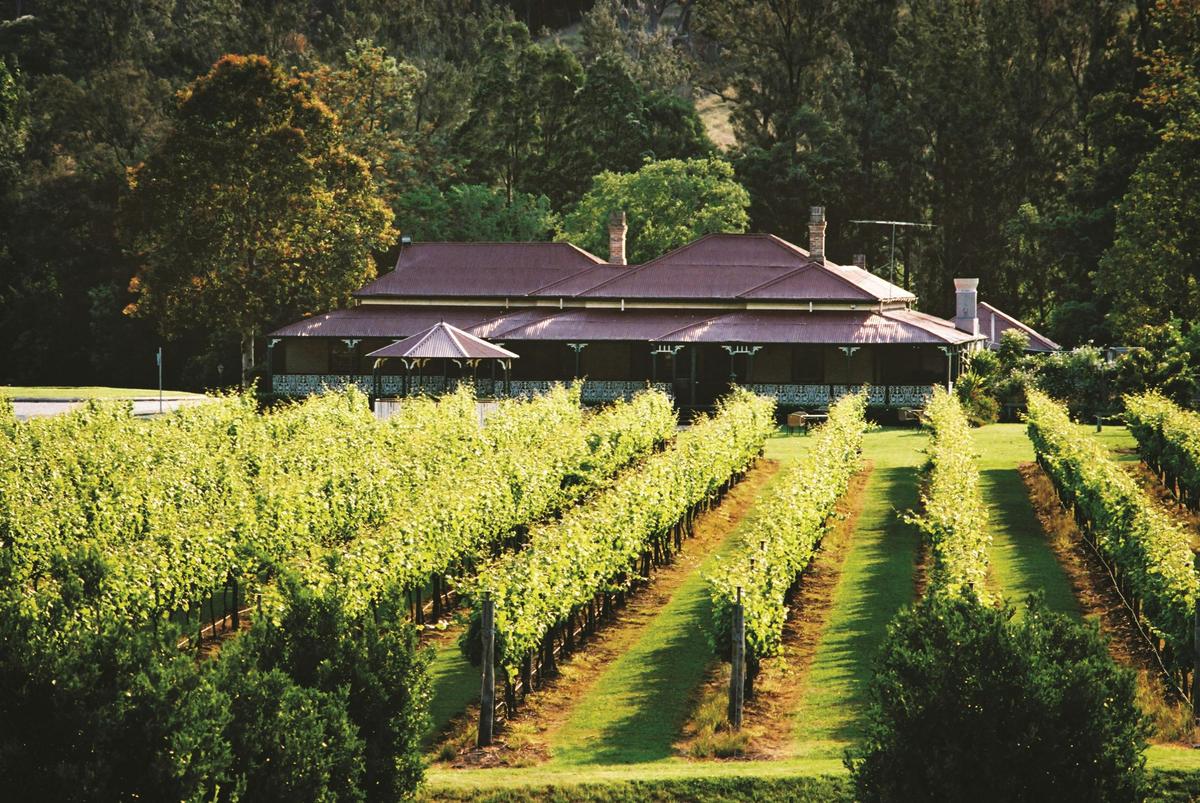 Canungra Valley Vineyard