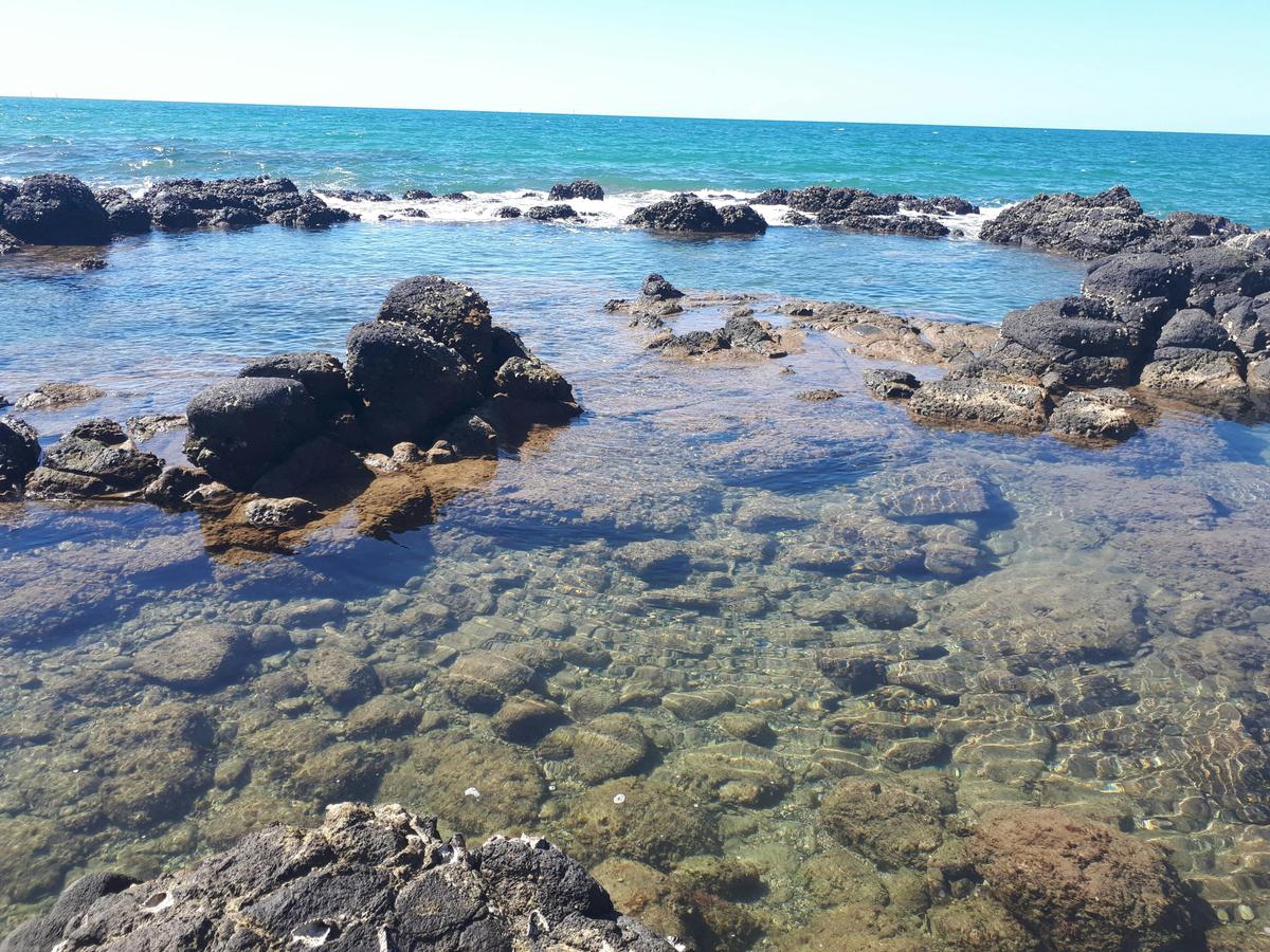 Oaks Beach Rock Pools