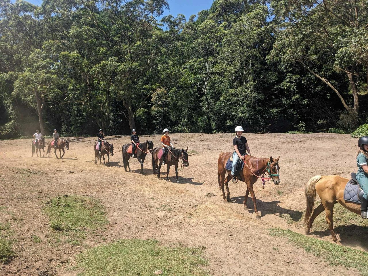 Trail ride