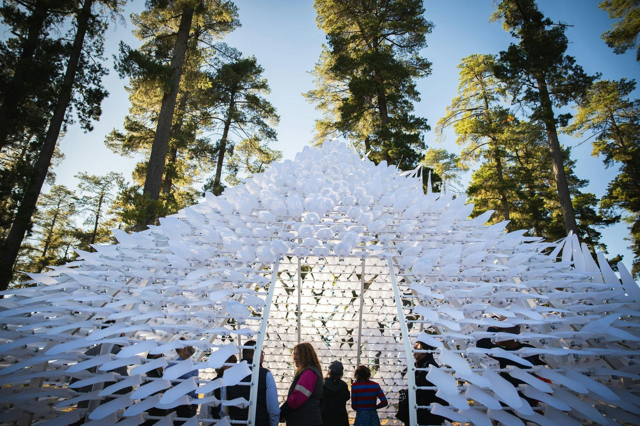 Visitors enjoy Shiver House V4, Sugar Pines, Bago State Forest