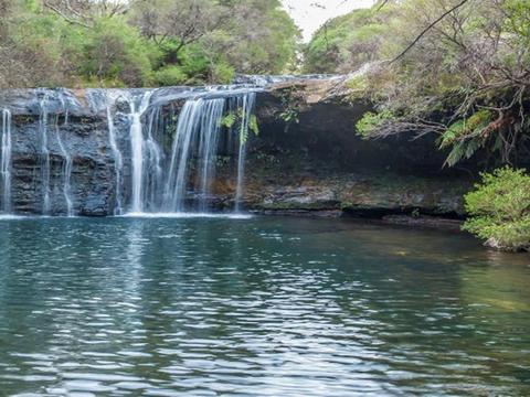 Nellies Glen picnic area