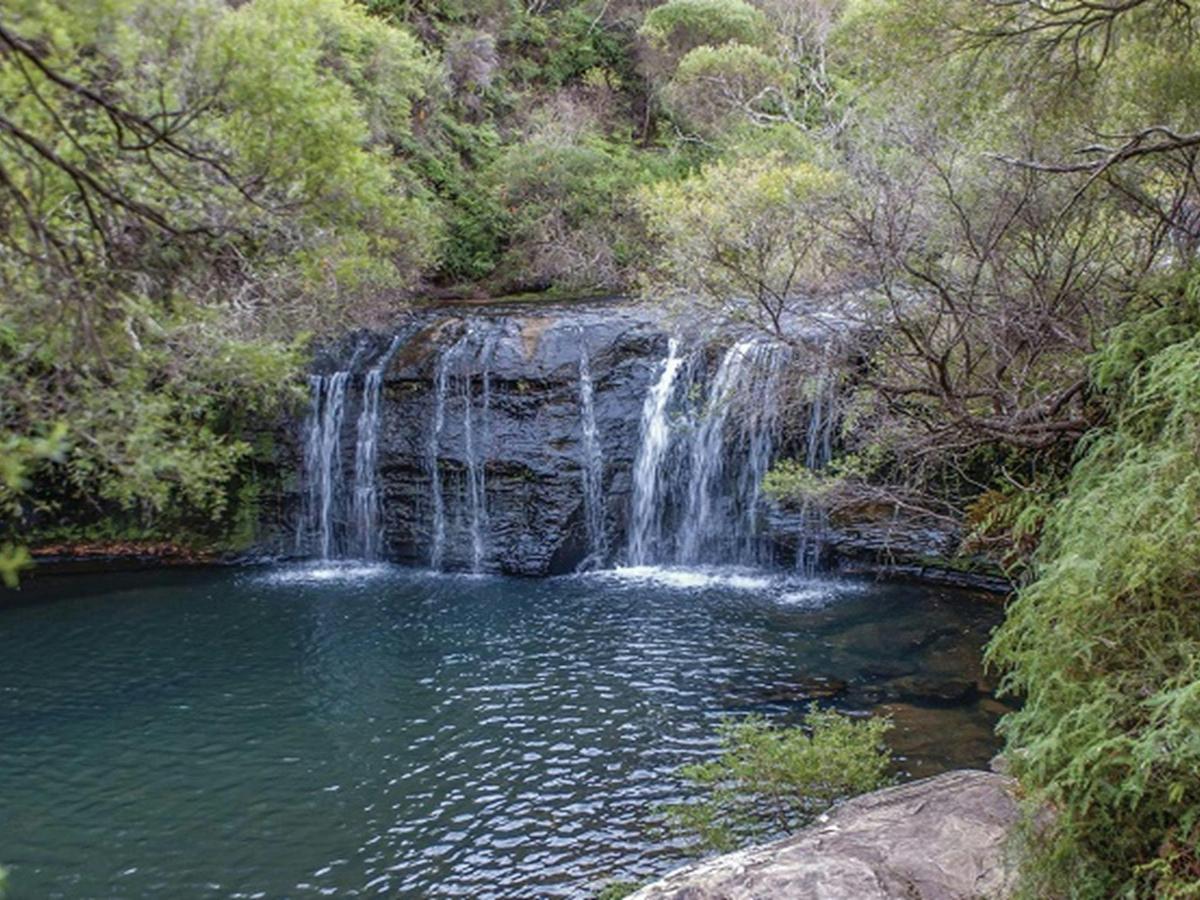 Nellies Glen picnic area