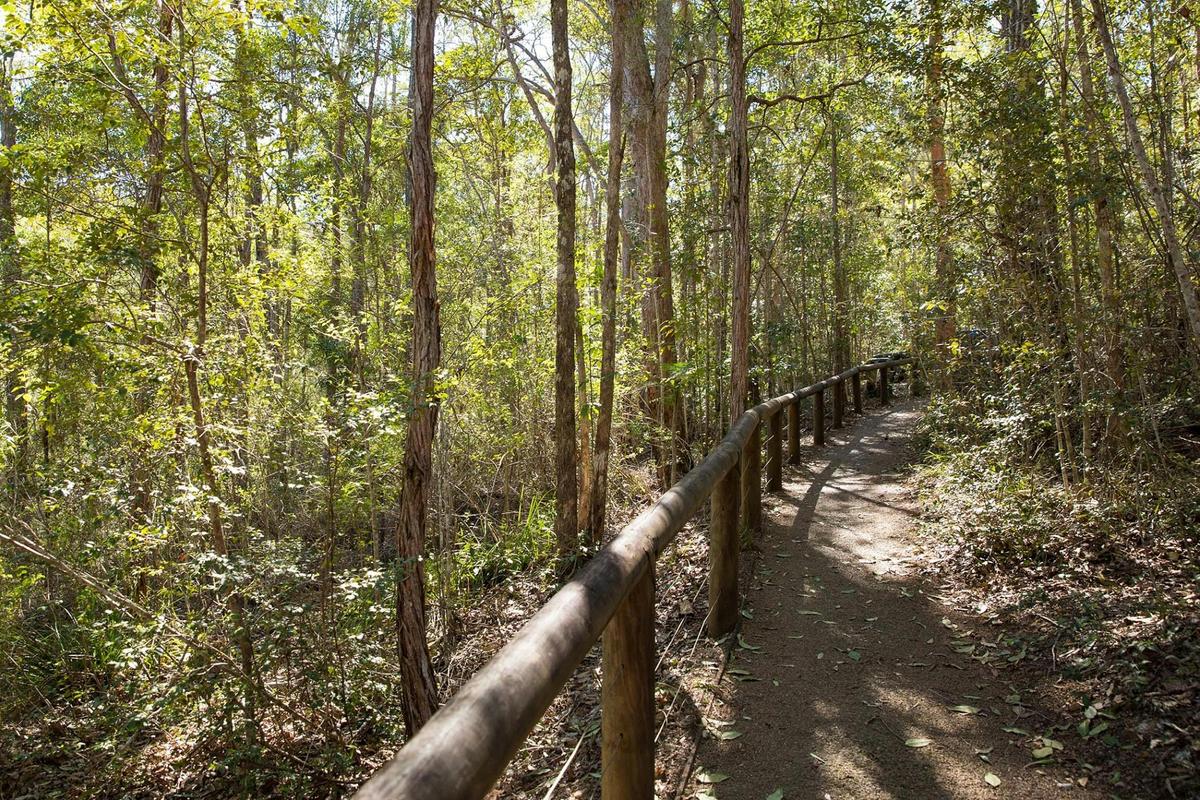 The perfect place for a stroll amongst nature