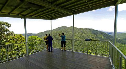 Creek and Canopy Tour