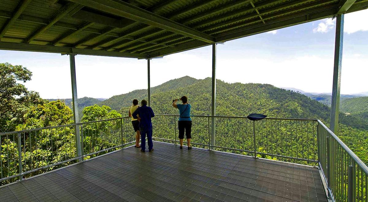 Canopy lookout at Mamu Canopy walk