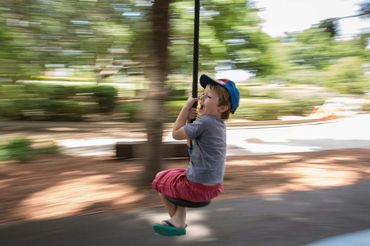 Flying Fox at Pine Rivers Park