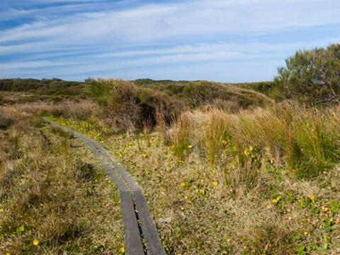Murramarang Aboriginal Area