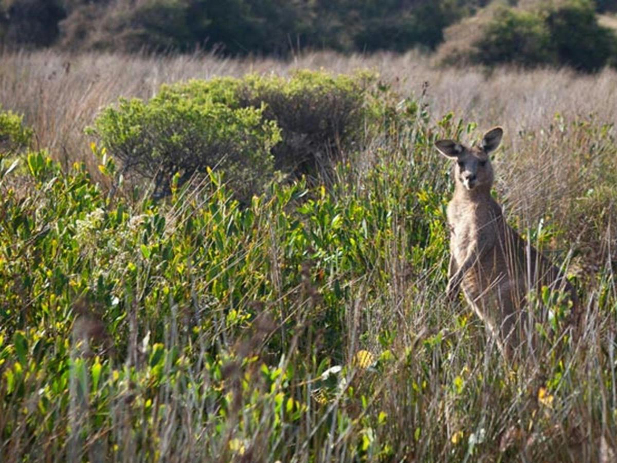 Murramarang Aboriginal Area. Photo: Lucas Boyd &copy; OEH