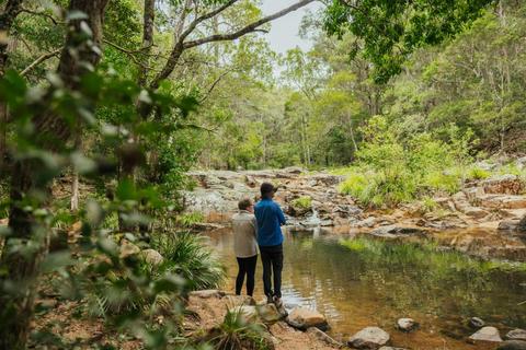 Mothar Mountain Rockpools