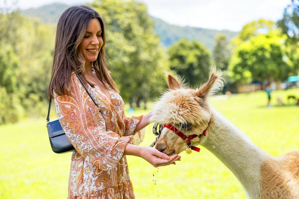 Get up close & personal with an alpaca!