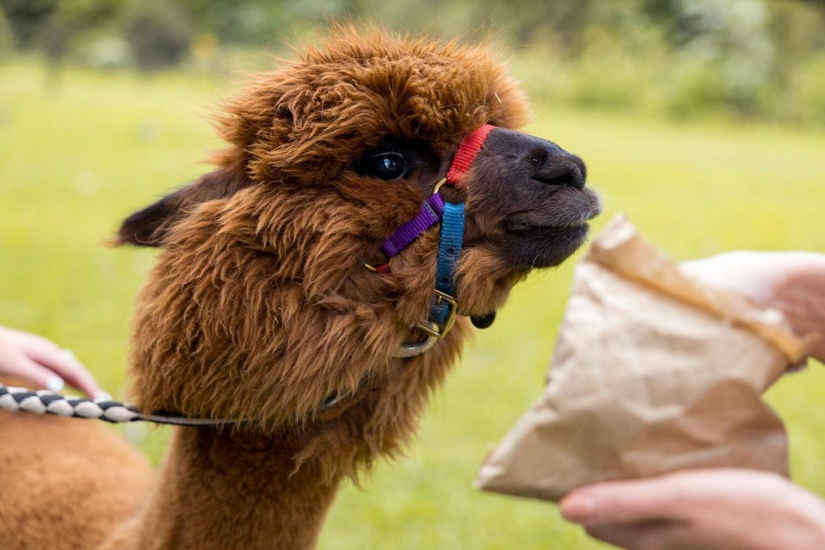 Feeling Hungry?