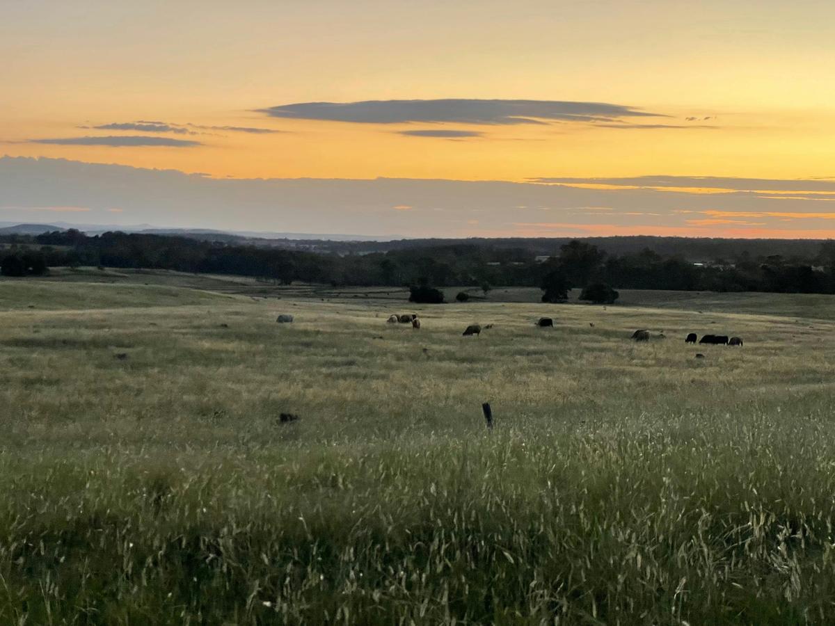Tiny Home View