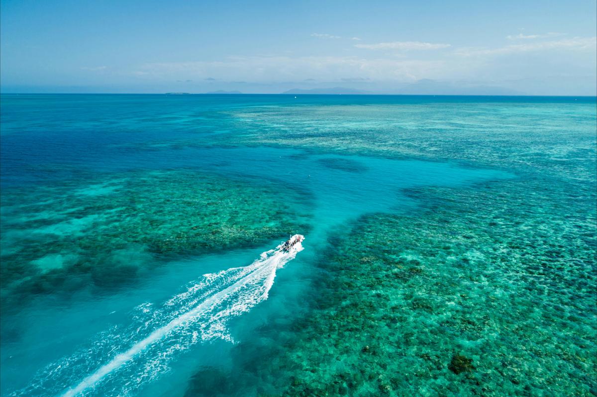 Ocean Freedom Cruise to Upolu Cay Reef and Outer Edge Upolu Reef