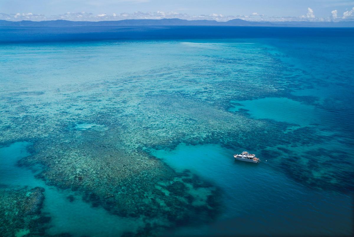 Ocean Freedom Cruise to Upolu Cay Reef and Outer Edge Upolu Reef