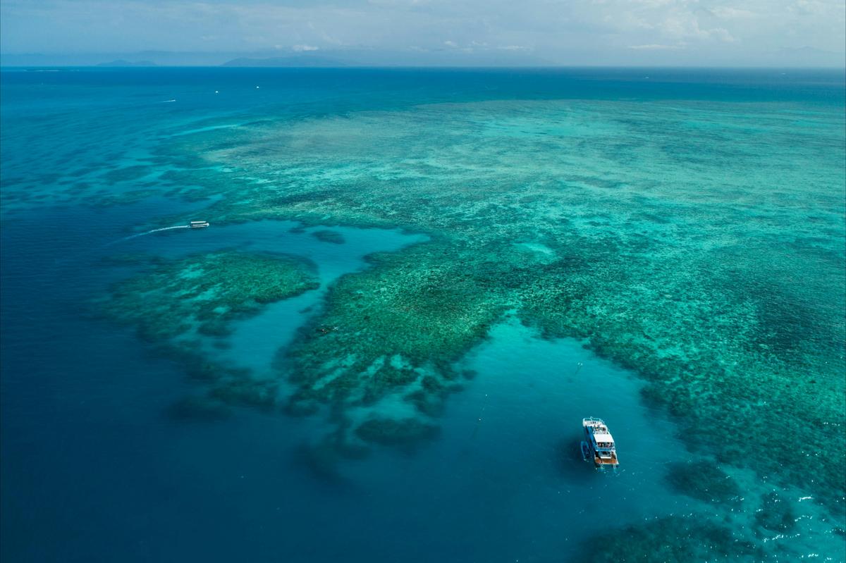 Ocean Freedom on Private Mooring, Outer Edge Upolu Reef, Cairns Great Barrier Reef Australia