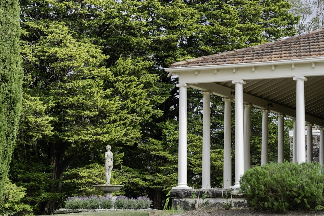 Garden view
